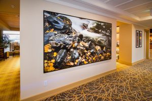 berwick-retirement-image